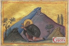 Hilarion the Great Menologion of Basil II