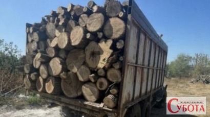 Вантажівка з незаконно зрубаними деревами на Житомирщині