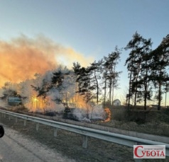 Пожежа сухої трави біля дороги у Тетерівці на тлі вечірнього неба, 2026 рік