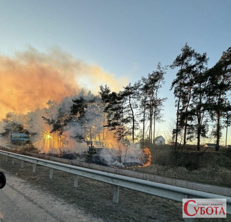 Пожежа сухої трави біля дороги у Тетерівці на тлі вечірнього неба, 2026 рік