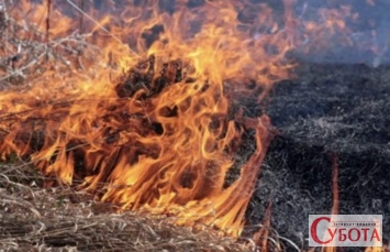 Пожежа сухої трави на відкритій місцевості, полум'я швидко поширюється
