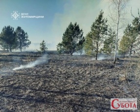 Вигоріла чорна земля та дим після масштабної пожежі сухостою на Житомирщині