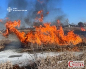 Масштабна пожежа сухої трави біля замерзлої водойми на Житомирщині