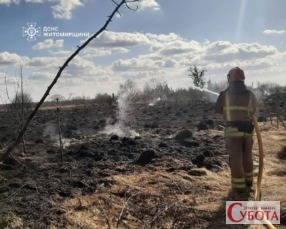 Пожежник гасить вигоріле чорне поле сухої трави на Житомирщині