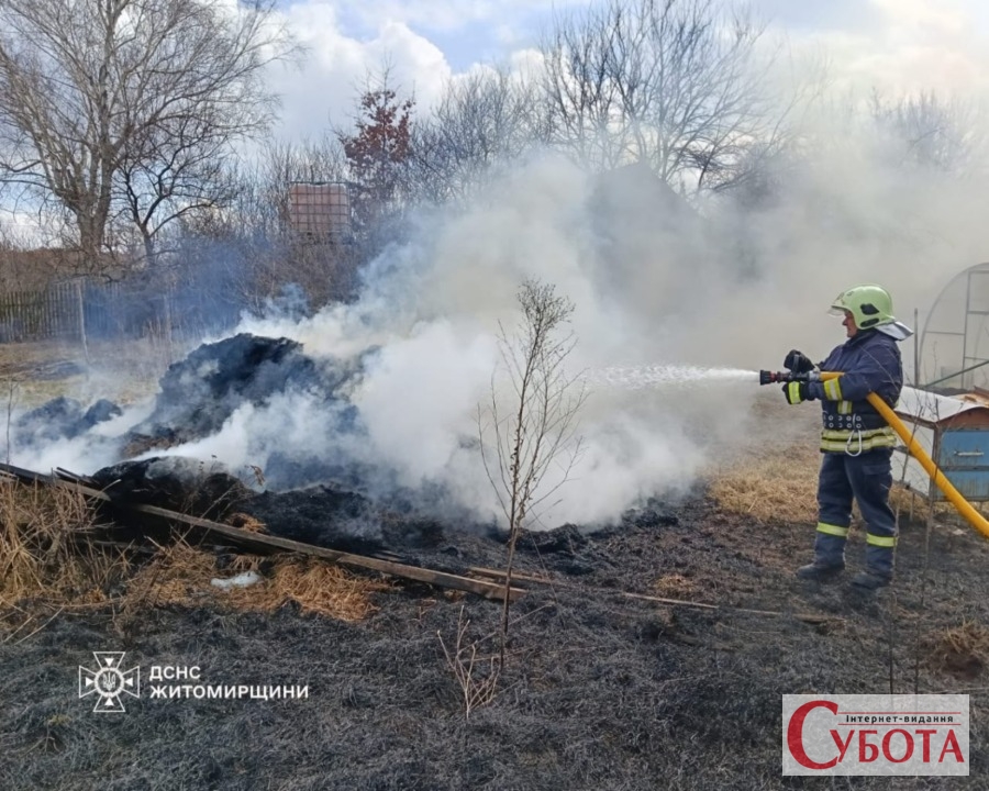 Рятувальник ДСНС гасить пожежу сухої трави у приватному секторі