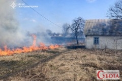 Вогонь із сухої трави підбирається до сільського будинку на Житомирщині, 21 березня 2026