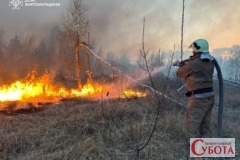 Рятувальники ДСНС гасять масштабну пожежу сухої трави на Житомирщині, видно густий дим та вогнеборців у роботі