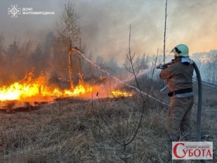 Рятувальники ДСНС гасять масштабну пожежу сухої трави на Житомирщині, видно густий дим та вогнеборців у роботі