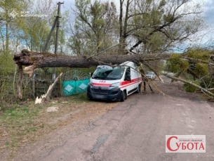 Повалене вітром дерево розтрощило автомобіль швидкої допомоги на Житомирщині