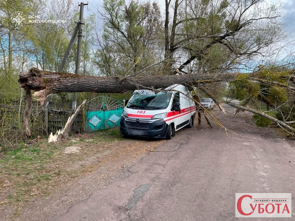 Повалене вітром дерево розтрощило автомобіль швидкої допомоги на Житомирщині