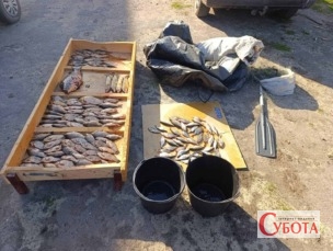 На Житомирщині браконьєр наловив риби на понад 200 тисяч гривень збитків
