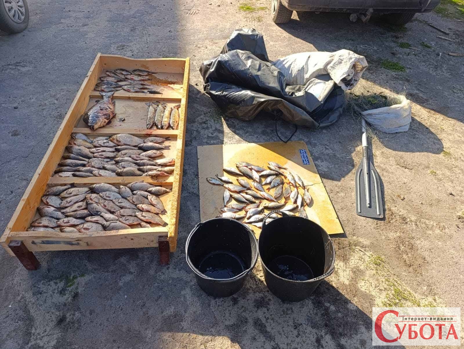 На Житомирщині браконьєр наловив риби на понад 200 тисяч гривень збитків