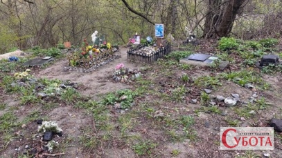У Житомирі немає офіційного кладовища для тварин