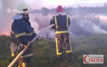Рятувальники ДСНС гасять масштабну пожежу сухої трави на Житомирщині біля водойми
