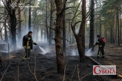 Рятувальники ДСНС гасять тліючу лісову підстилку в заповіднику «Древлянський» на Житомирщині