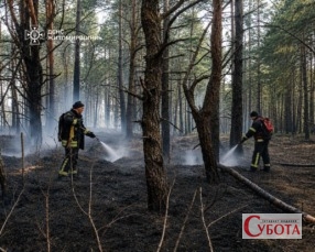 Рятувальники ДСНС гасять тліючу лісову підстилку в заповіднику «Древлянський» на Житомирщині