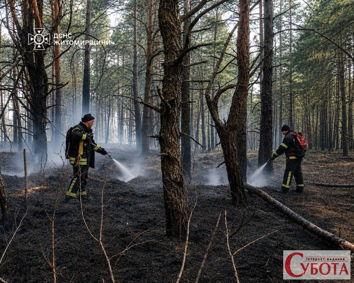 Рятувальники ДСНС гасять тліючу лісову підстилку в заповіднику «Древлянський» на Житомирщині