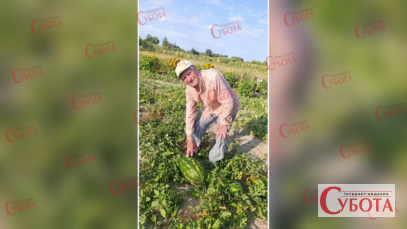 Михайло Кусяк біля великих кавунів на своєму городі у Старому Солотвині