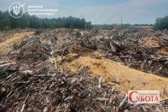 На Овруччині шар відходів у лісі сягав 3,5 метра