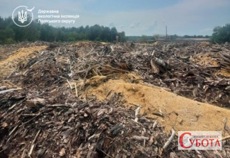На Овруччині шар відходів у лісі сягав 3,5 метра