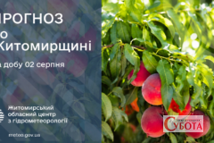 Житомирщину чекає один із найспекотніших днів