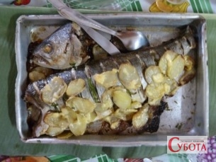 Запечена скумбрія — рецепт скумбрії з яблуками в духовці