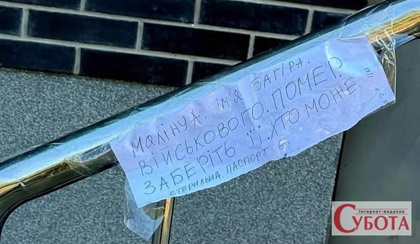 Прив’язали біля супермаркету: в Ірпені врятували собаку Багіру