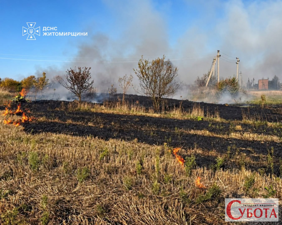 На півночі Житомирщини горіла суха трава: вогонь впритул наблизився до господарських будівель