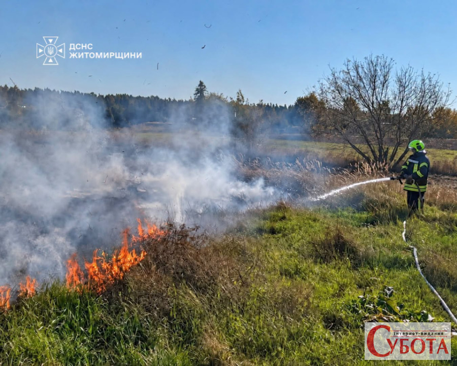 На півночі Житомирщини горіла суха трава: вогонь впритул наблизився до господарських будівель — фото 1