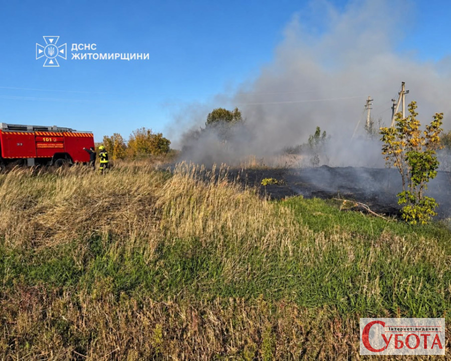 На півночі Житомирщини горіла суха трава: вогонь впритул наблизився до господарських будівель — фото 2