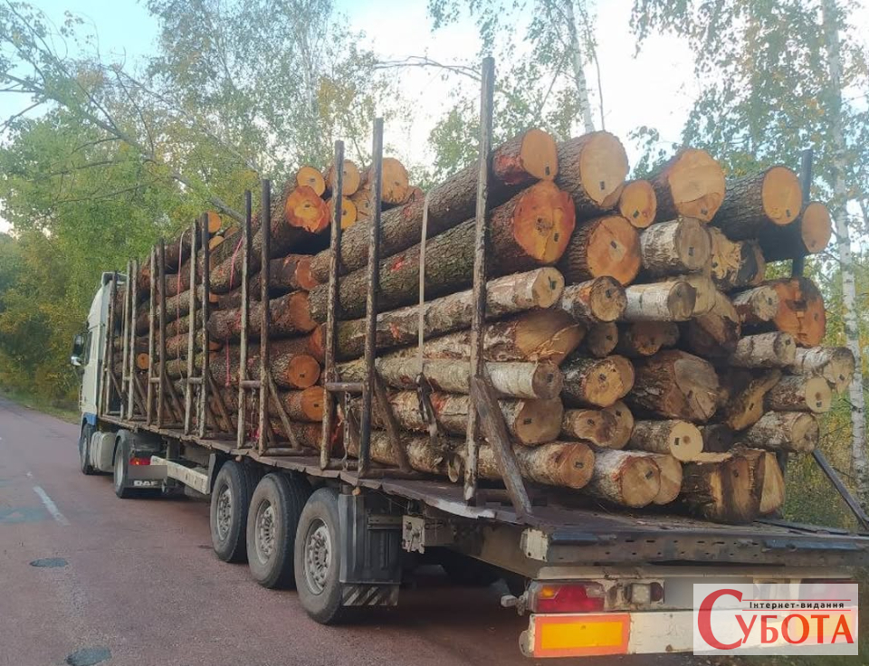 Volvo і DAF із деревиною патрульні зупинили на Житомирщині через розбіжності в документах та маркуванні