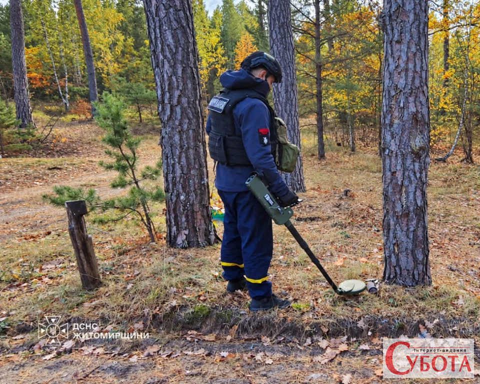 Грибники у лісі Житомирського району натрапили на небезпечний предмет