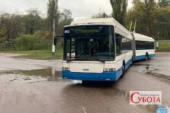 N big