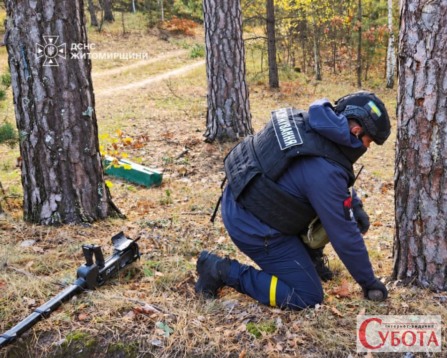 Грибники у лісі Житомирського району натрапили на небезпечний предмет — фото 2