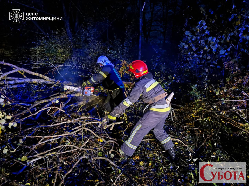 У Любарі повалене дерево частково перекрило дорогу: рух відновили рятувальники — фото 1