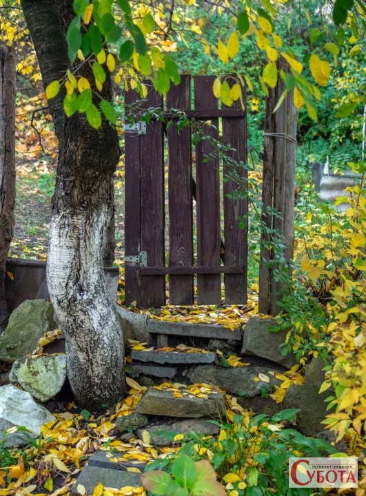 Замкова гора у Житомирі на світлинах Миколи Бутковського. ФОТО — фото 2