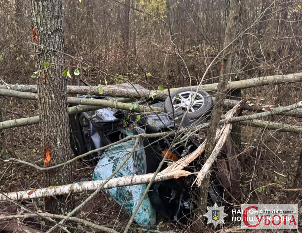 На Олевщині п’яна водійка спричинила ДТП, у якій загинула 16-річна дівчина