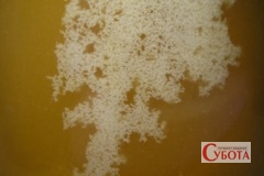 Crystallized honey