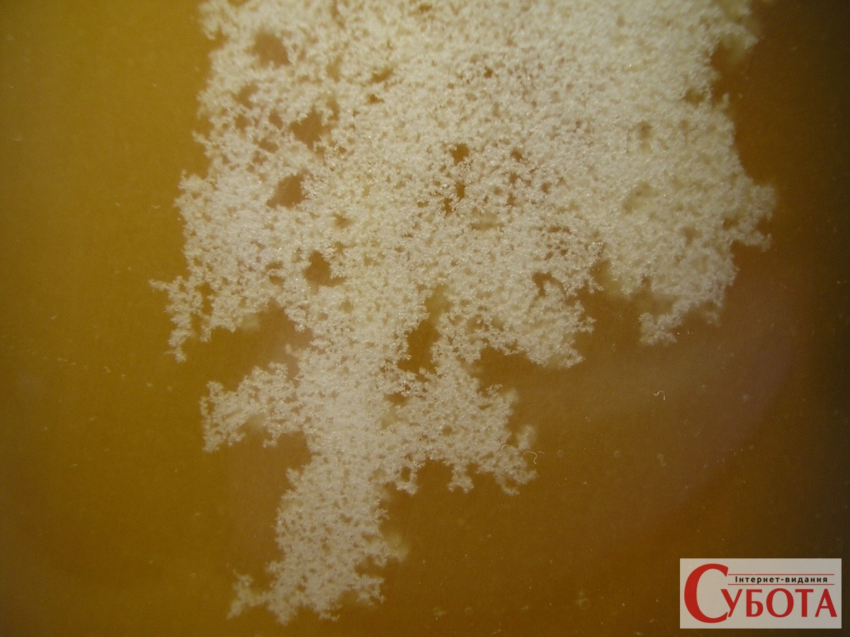 Crystallized honey