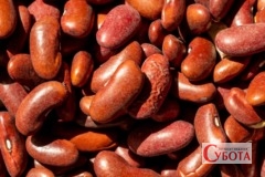Red Kidney Beans