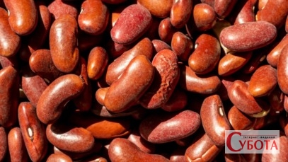Red Kidney Beans