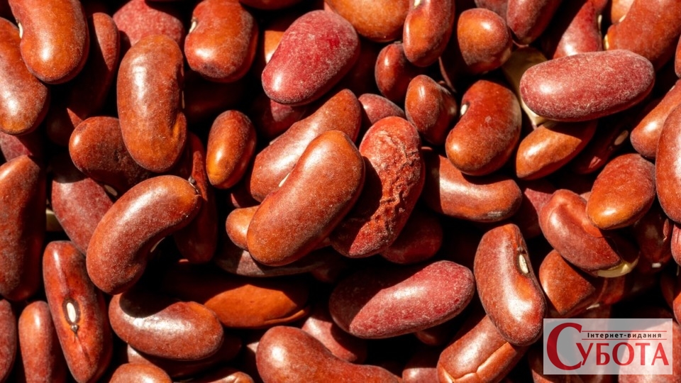 Red Kidney Beans