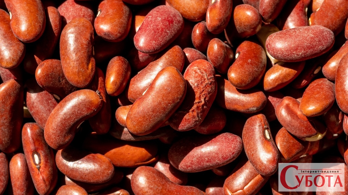 Red Kidney Beans