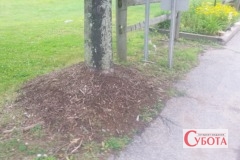 Volcano mulching