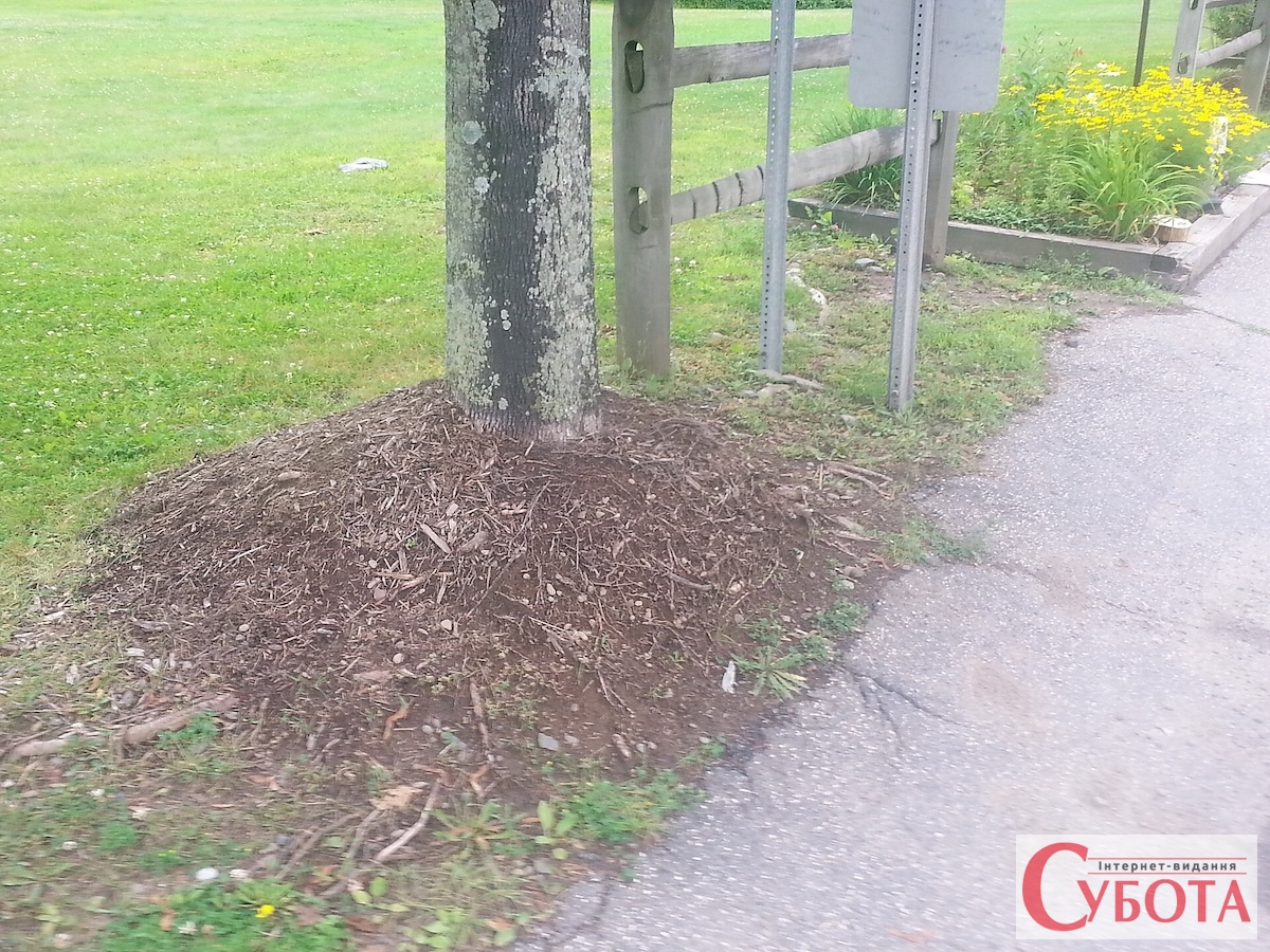 Volcano mulching