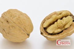 Walnuts whole and open