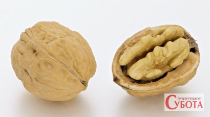 Walnuts whole and open