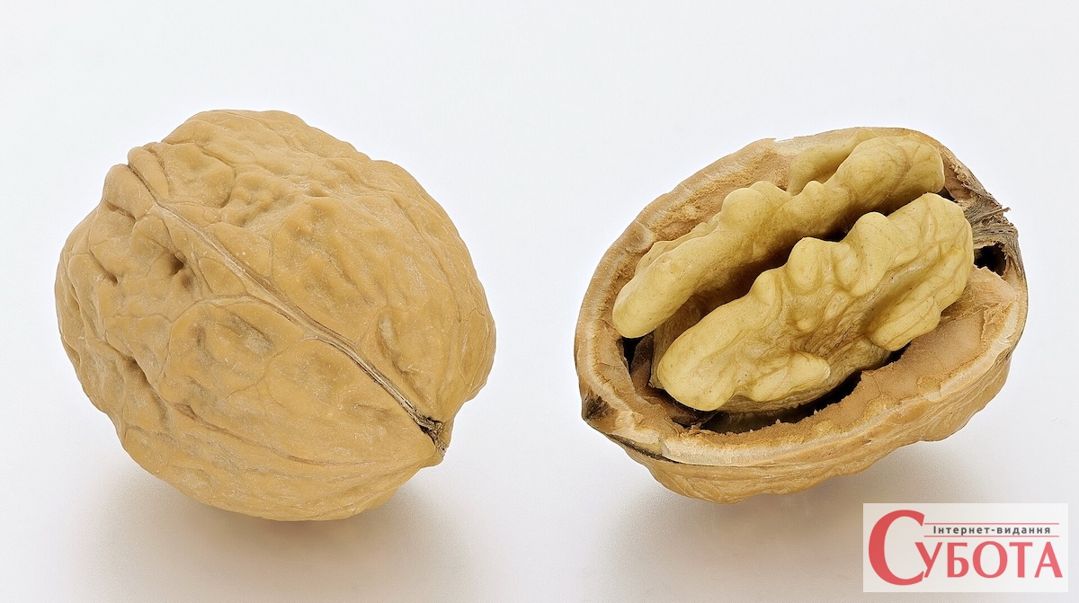Walnuts whole and open