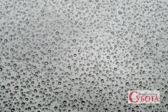 Water Droplets on Window Pane 1