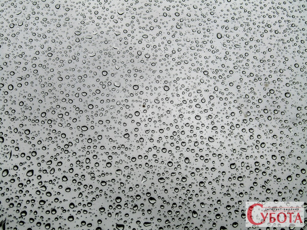 Water Droplets on Window Pane 1